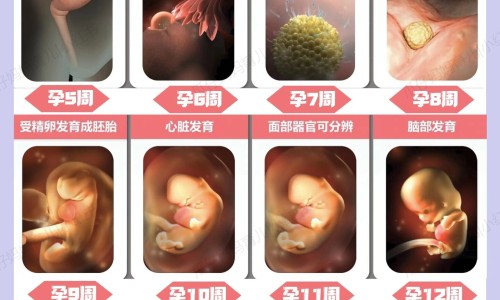 怀孕四个月引产疼不疼-怀孕四个月引产疼不疼-怀孕四个月下面外部痒怎么办,中国怀孕四个月开始恶心网站